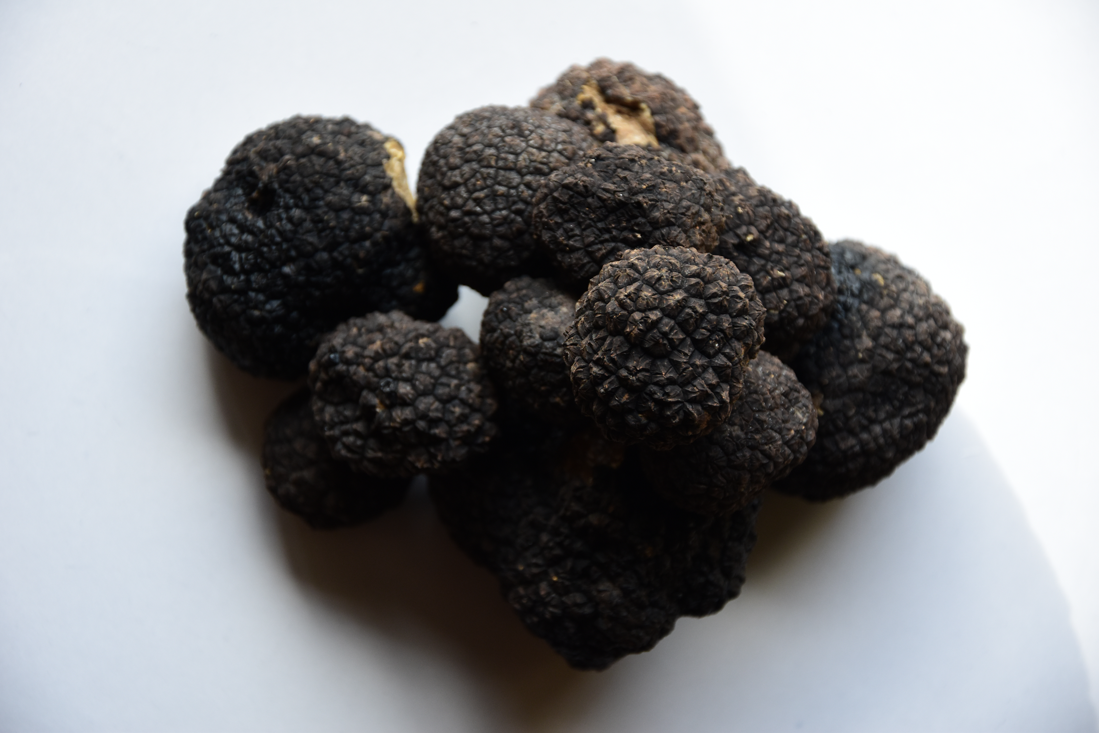 Black italian fresh truffle worldwide free shipping high quality USA shop online trovatore